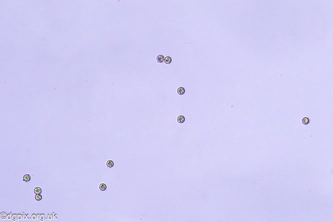 54095316981_6eab141fd5_c (1)