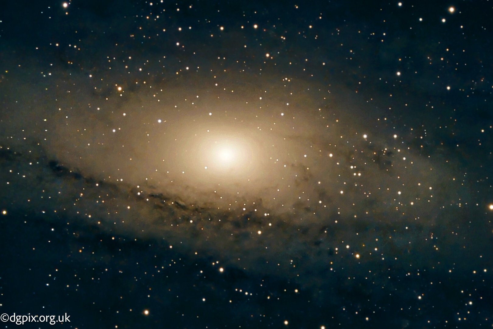 55110189218_894a13251c_o