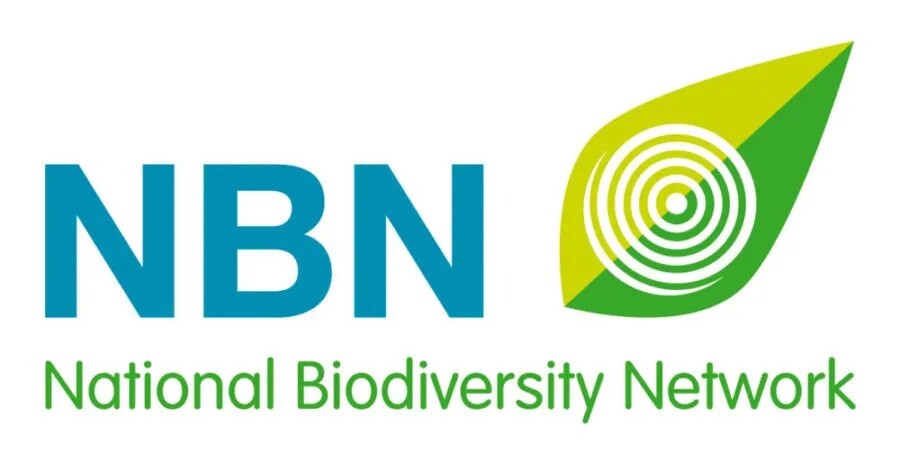 NBN-Logo-2007-1296X679-e1468492751264
