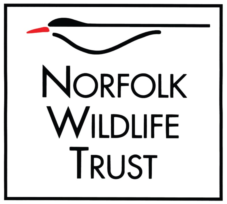 NWT logo JPEG (1)