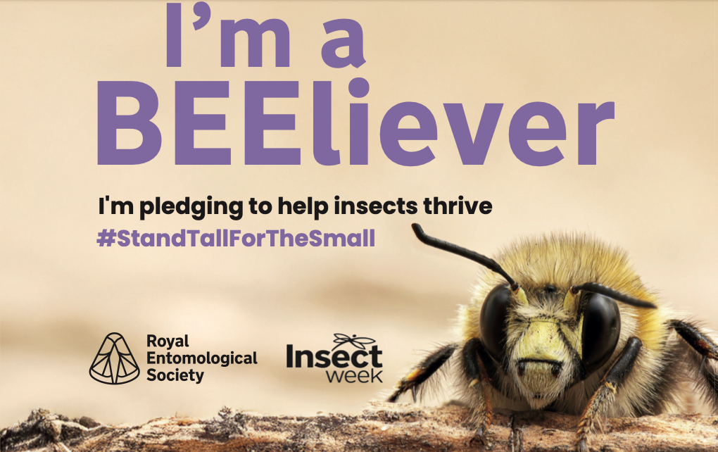 Pledge-Hero-banner-2021_U18_Carder_Bee_Adam_Lawson