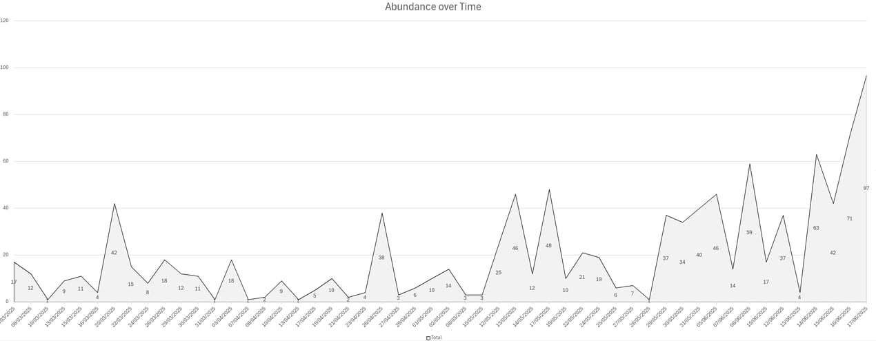 Screenshot 2025-06-18 231734