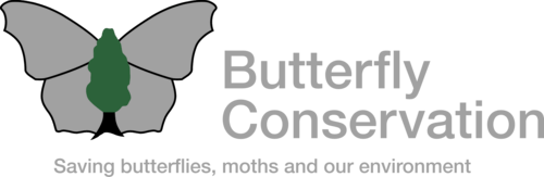 logo-1